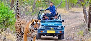 Chateaux & Champagne Tour